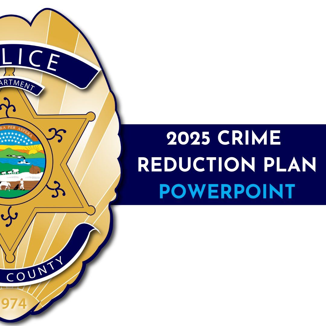Crime Reduction Plan 2025 Full
